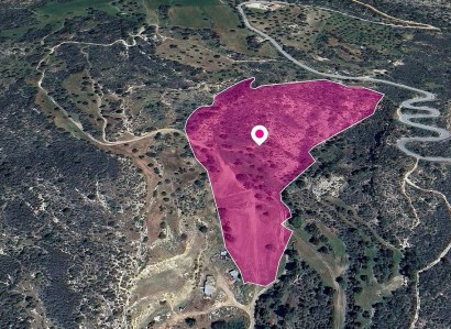 Agios Isidoros Agricultural Field For Sale | WW29024