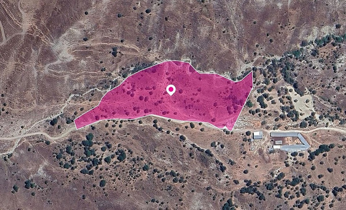 Field in Kelokedara, Paphos
