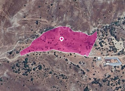 Kelokedara, Paphos Agricultural Field For Sale | WW29028