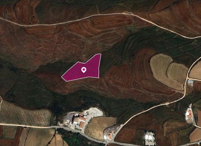 Kathikas, Paphos Agricultural Field For Sale | WW29029