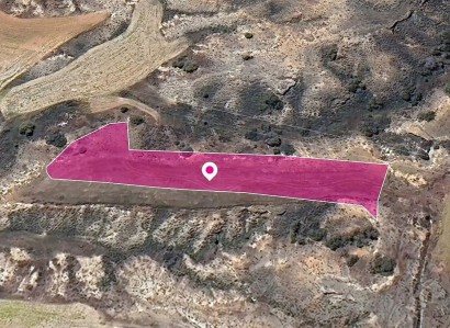 Agioi Trimithias Agricultural Field For Sale | WW29033