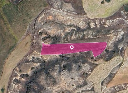 Agioi Trimithias Agricultural Field For Sale | WW29033