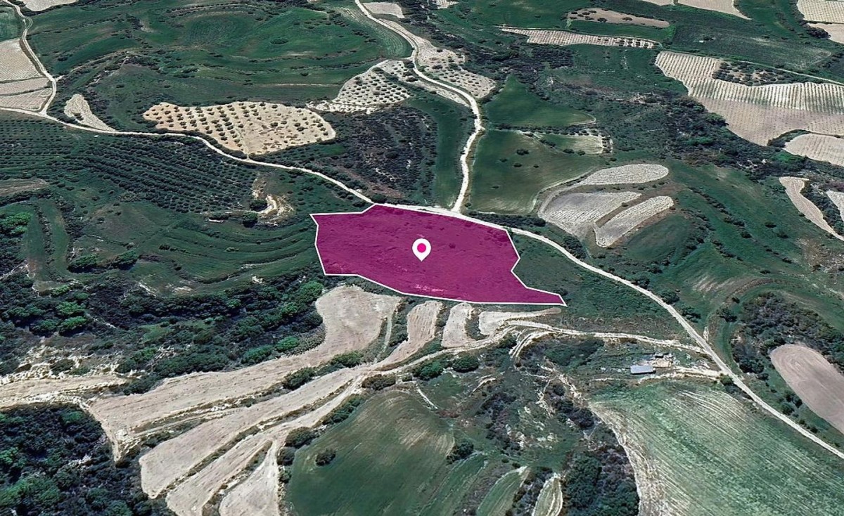 Polemi, Paphos Agricultural Field For Sale | WW29034