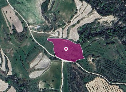 Polemi, Paphos Agricultural Field For Sale | WW29034