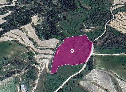 Polemi, Paphos Agricultural Field For Sale | WW29034