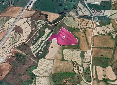 Theletra, Paphos Agricultural Field For Sale | WW29036