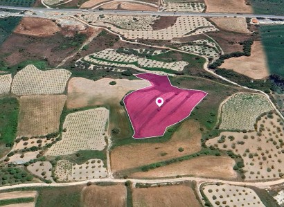 Theletra, Paphos Agricultural Field For Sale | WW29036