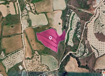 Theletra, Paphos Agricultural Field For Sale | WW29036