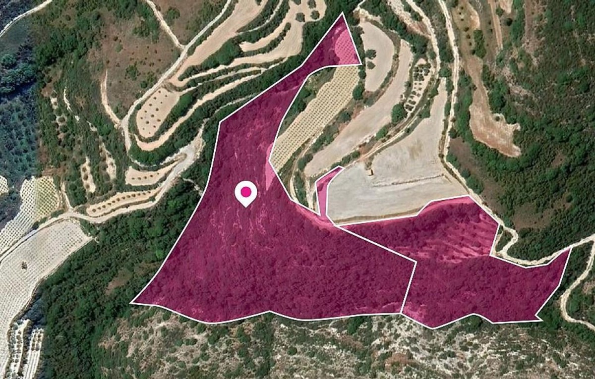 Theletra, Paphos Agricultural Field For Sale | WW29043