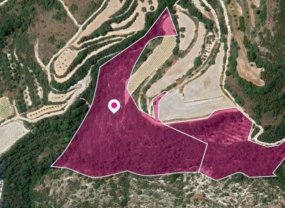 Theletra, Paphos Agricultural Field For Sale | WW29043