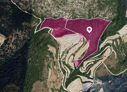 Theletra, Paphos Agricultural Field For Sale | WW29043