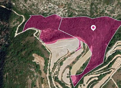 Theletra, Paphos Agricultural Field For Sale | WW29043