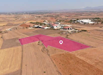 Astromeritis, Nicosia Industrial Field For Sale | WW29075