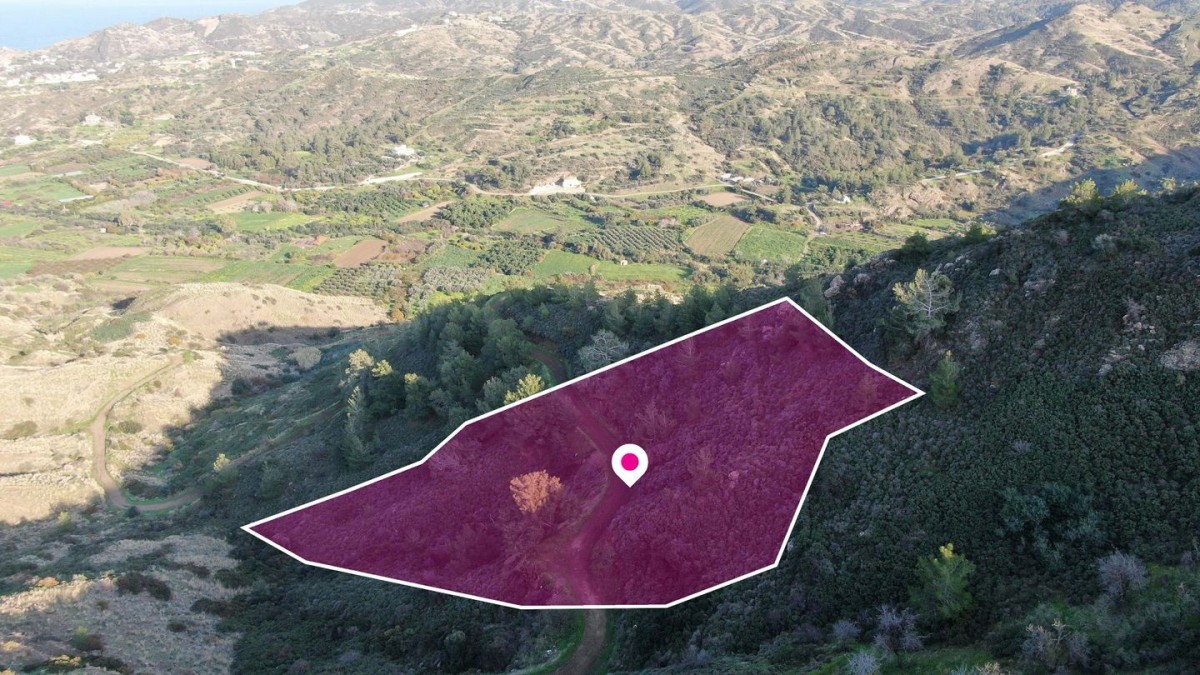 Residential field located in Pigenia, Nicosia