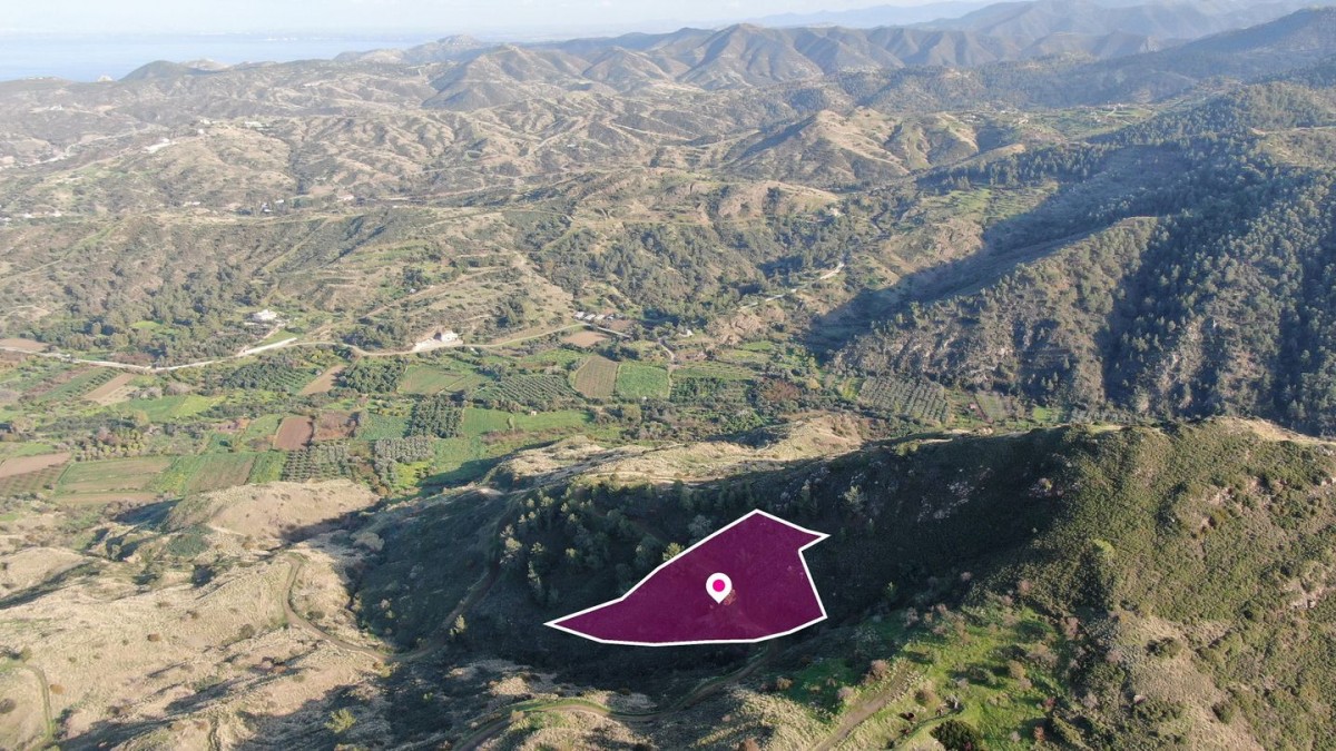 Residential field located in Pigenia, Nicosia
