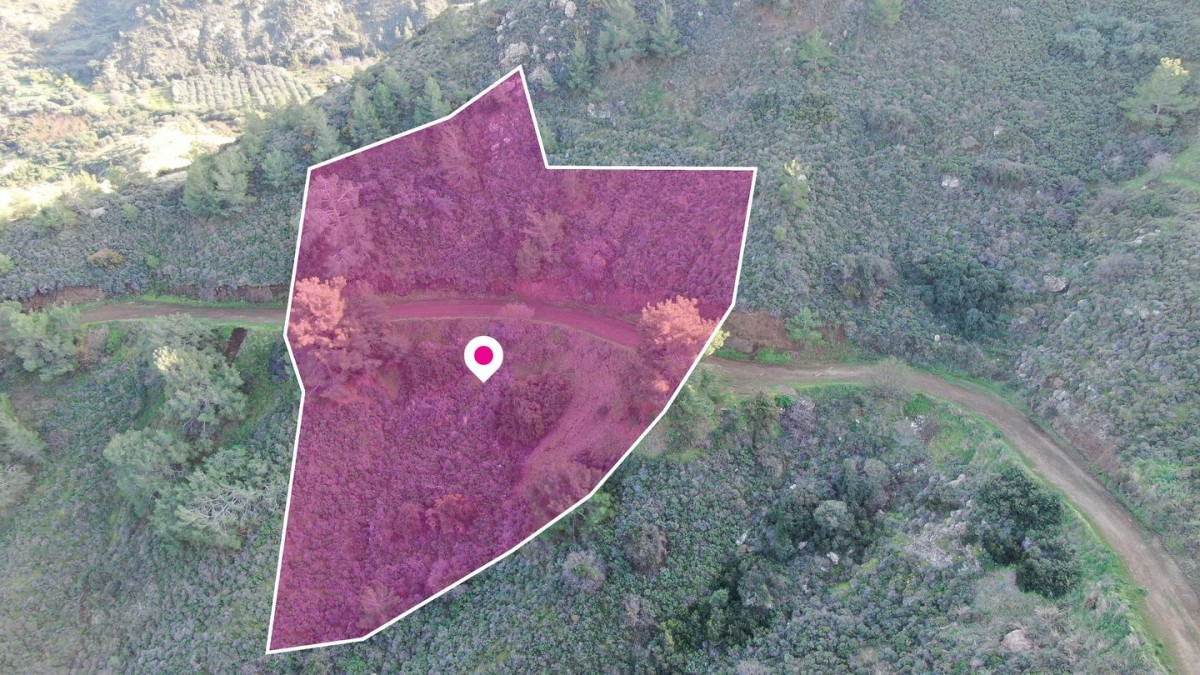 Residential field located in Pigenia, Nicosia