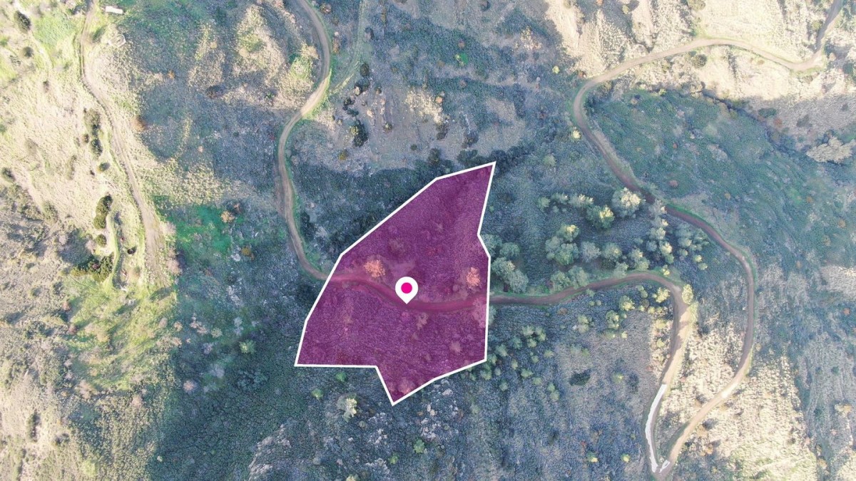 Residential field located in Pigenia, Nicosia