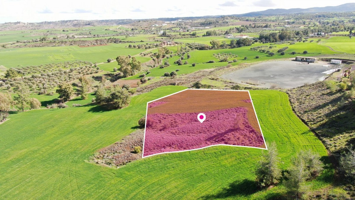 Residential field in Klirou, Nicosia