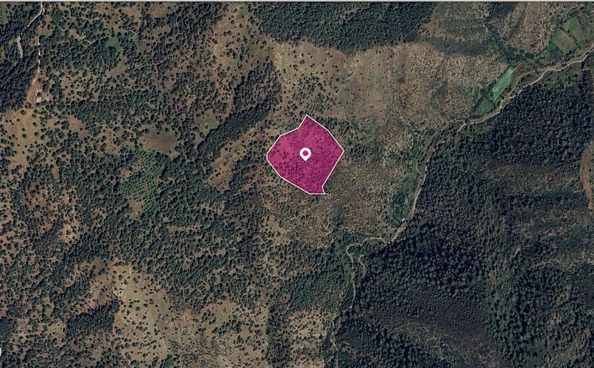 Agricultural field located in Pigenia, Nicosia