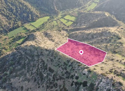 Pigenia, Nicosia Agricultural Field For Sale | WW29088