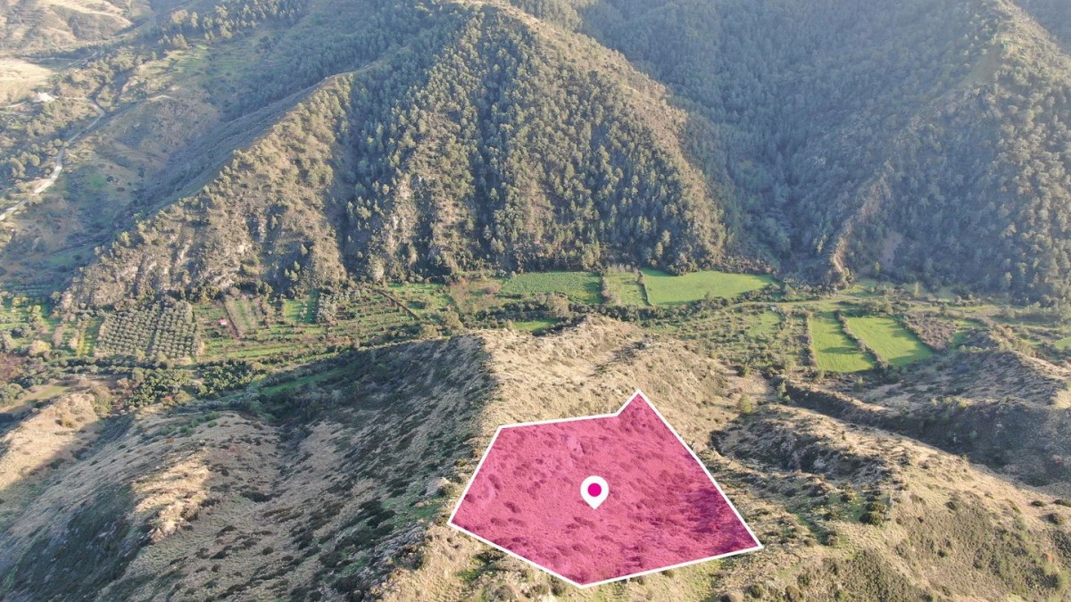 Agricultural field located in Pigenia, Nicosia