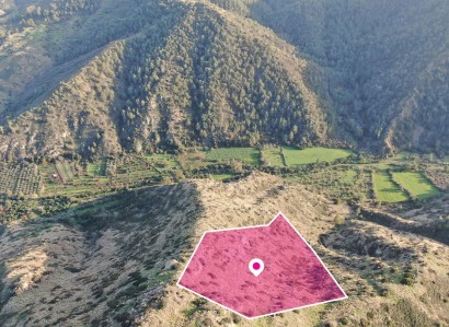 Pigenia, Nicosia Agricultural Field For Sale | WW29088