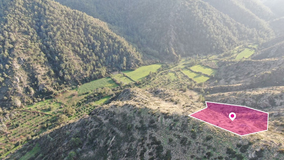 Agricultural field located in Pigenia, Nicosia