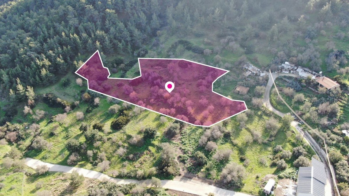 Residential field located in Pigenia, Nicosia