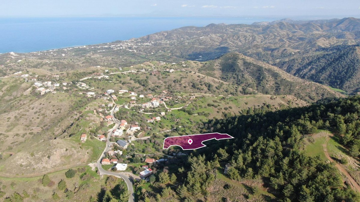 Residential field located in Pigenia, Nicosia