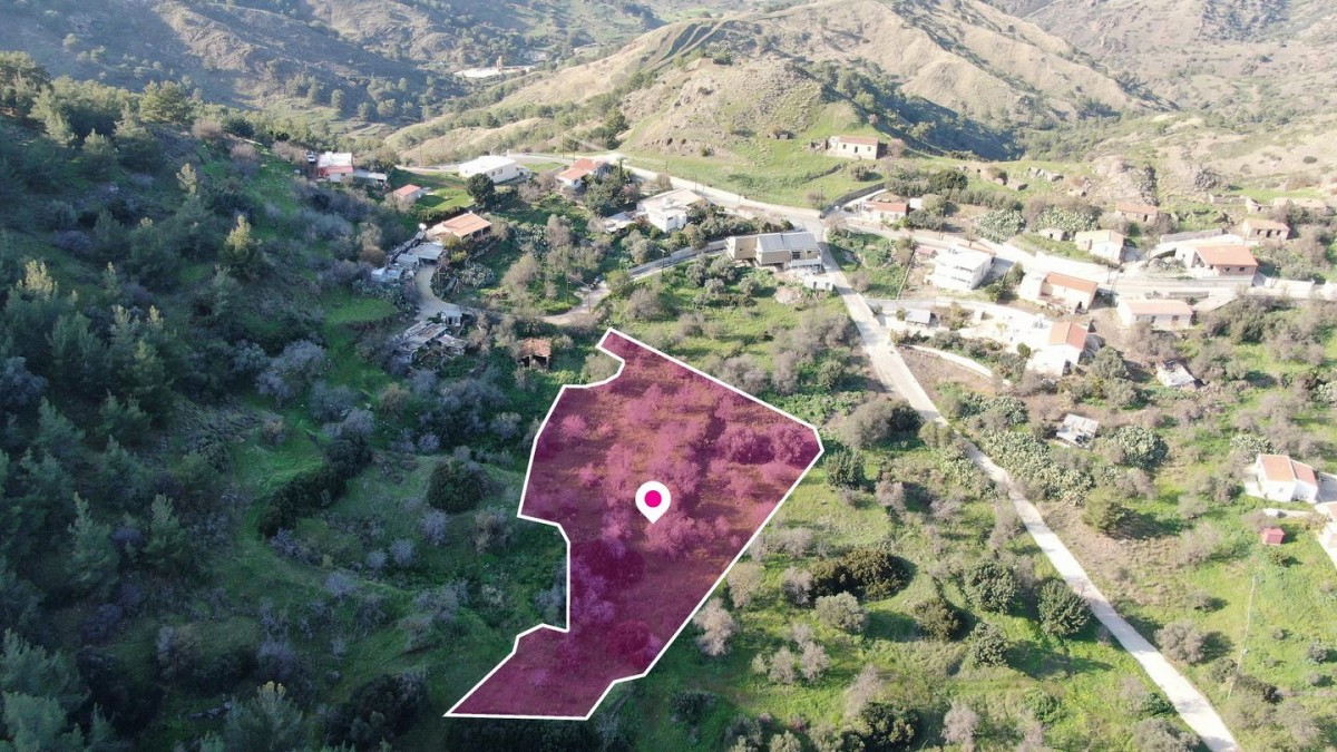 Residential field located in Pigenia, Nicosia