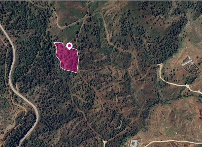 Pano Pyrgos, Nicosia Residential Plot For Sale | WW29090