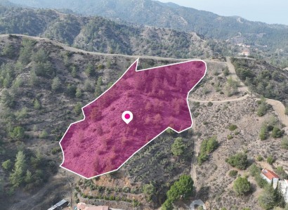 Galata, Nicosia Agricultural Field For Sale | WW29110