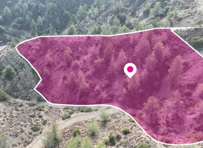 Galata, Nicosia Agricultural Field For Sale | WW29110