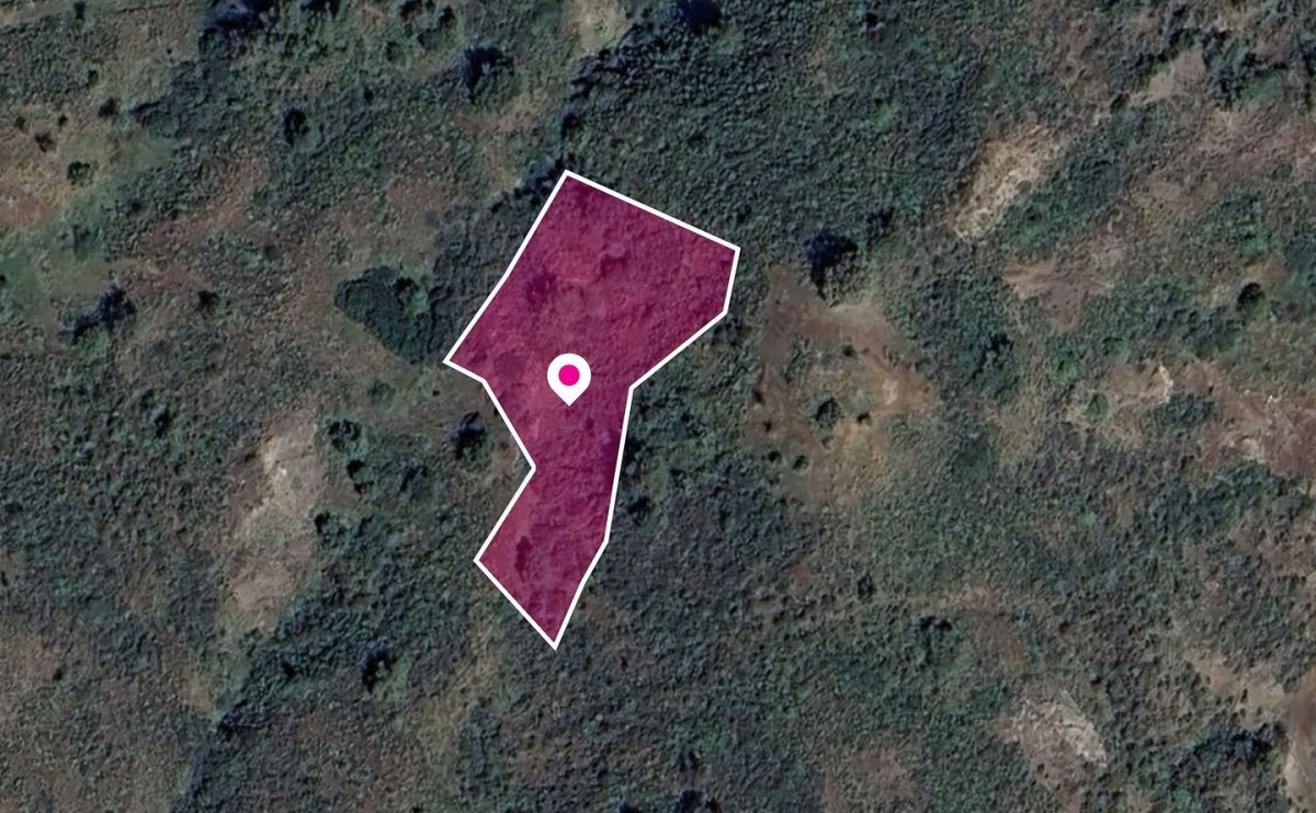 Residential field in Pigenia, Nicosia