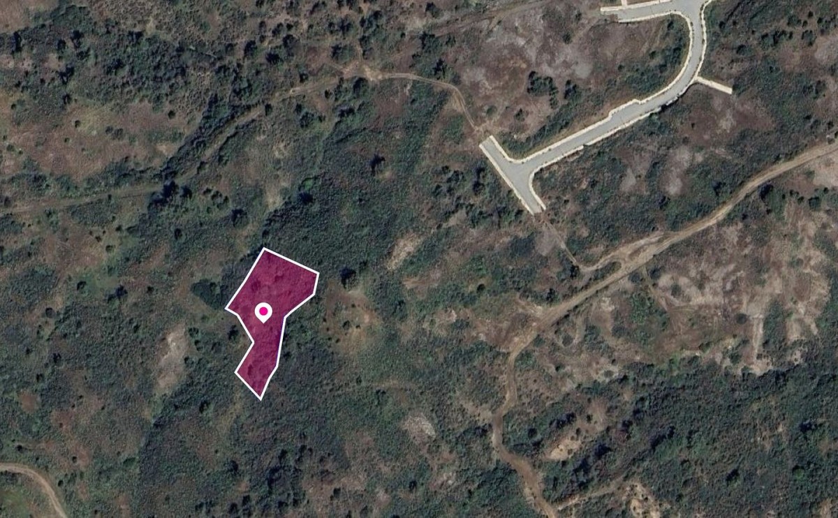 Residential field in Pigenia, Nicosia