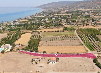 Argaka, Paphos Agricultural Field For Sale | WW29131