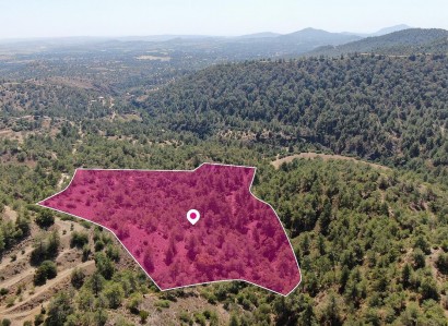 Kapedes, Nicosia Agricultural Field For Sale | WW29134