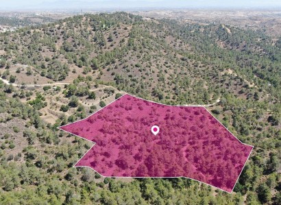 Kapedes, Nicosia Agricultural Field For Sale | WW29134