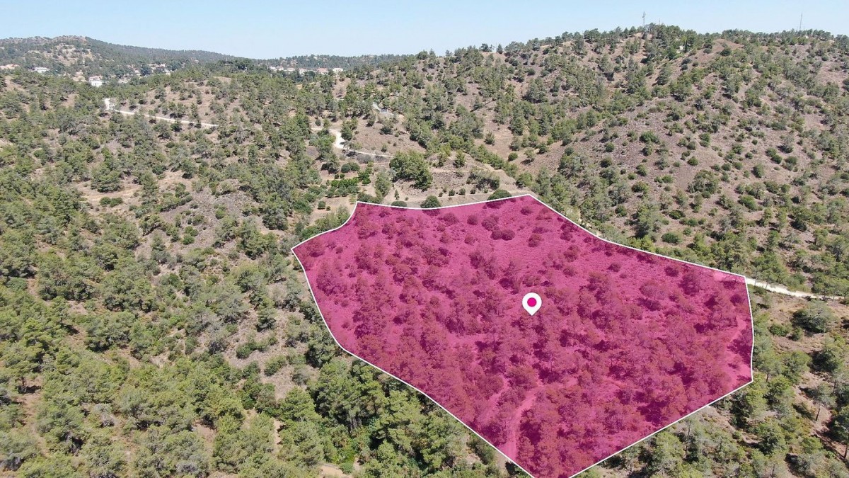 Agricultural field, in Kapedes, Nicosia