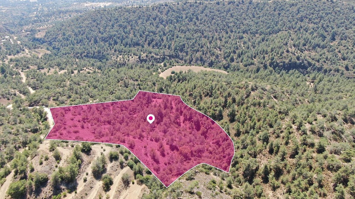 Agricultural field, in Kapedes, Nicosia