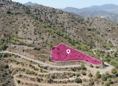 Fikardou, Nicosia Agricultural Field For Sale | WW29150
