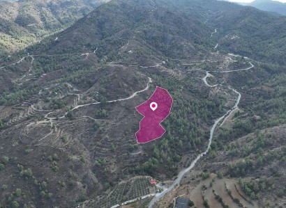 Fikardou, Nicosia Agricultural Field For Sale | WW29158