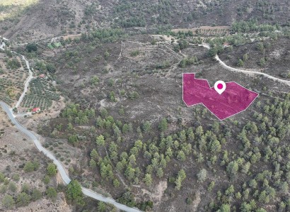 Fikardou, Nicosia Agricultural Field For Sale | WW29158