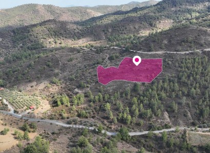 Fikardou, Nicosia Agricultural Field For Sale | WW29158