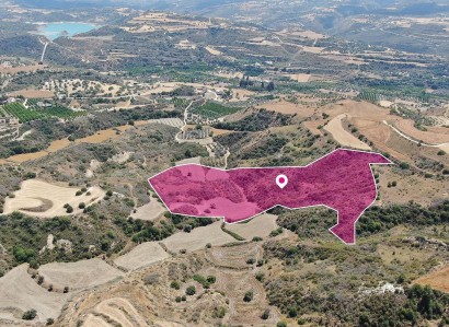 Choli, Paphos Agricultural Field For Sale | WW29161