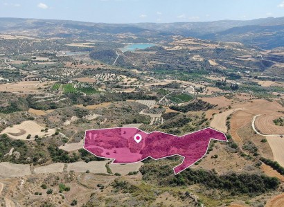 Choli, Paphos Agricultural Field For Sale | WW29161