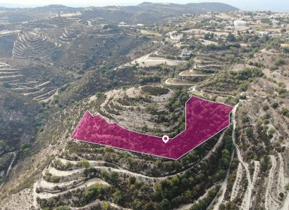 Koili, Paphos Agricultural Field For Sale | WW29168