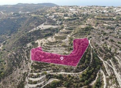 Koili, Paphos Agricultural Field For Sale | WW29168