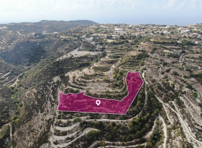 Koili, Paphos Agricultural Field For Sale | WW29168