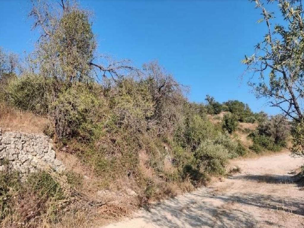 Ayios Therapon Residential Field For Sale | WW29206